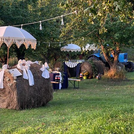 Guest House Zirga Smaids Кушнери Экстерьер фото